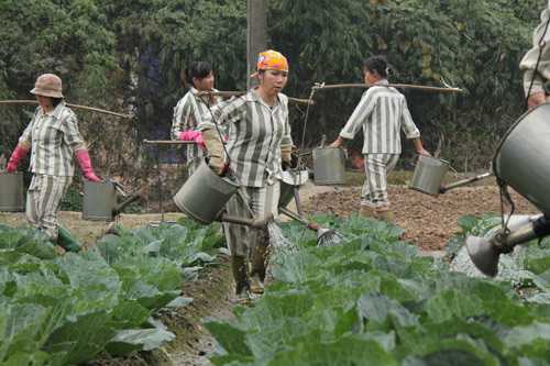 CA trại giam và tình huống 'uỳnh uỵch' đêm giao thừa