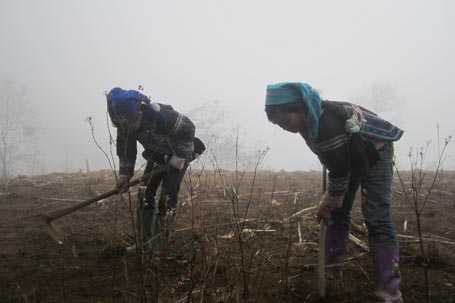 Ở nơi hít mây vào mũi, thở mây ra mồm