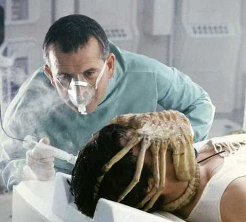 Truy tìm sinh vật cổ hóa thạch 300 triệu năm