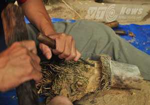 Độc đáo nghề tạc tượng gốc tre ở Hội An