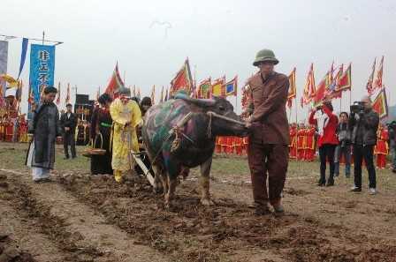 Về Đọi Sơn xem 'Vua đi cày'