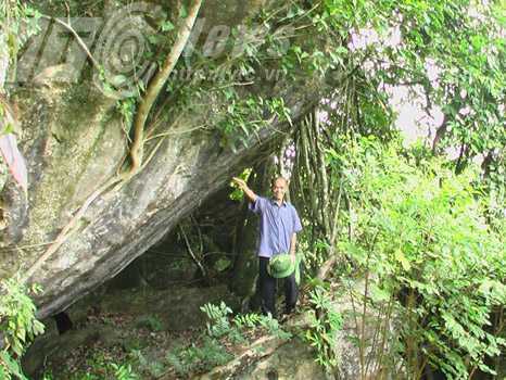 Phát hiện thú vị: Rừng Đại tướng ở Bắc Kạn