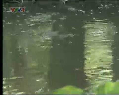 Hồ nước kỳ lạ nhất Việt Nam: Sôi ùng ục quanh năm