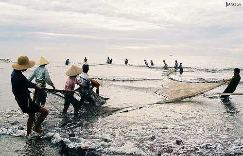 Đệ nhất săn ‘chim ngói’… dưới sông Hồng