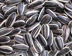 Hạt dướng dương tại VN chứa nhôm tổng hợp