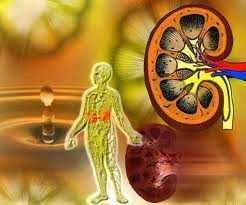 Thuốc hay chữa bệnh thận