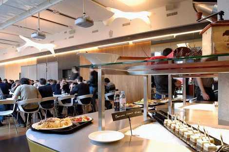 Môi trường làm việc 'trong mơ' của Google