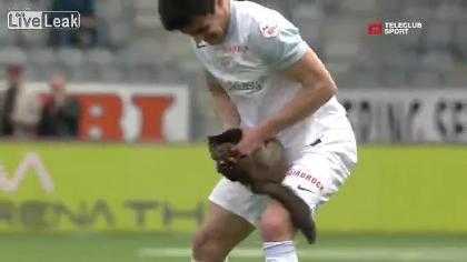 Clip: Chú chồn vào sân bóng làm loạn, cắn cầu thủ