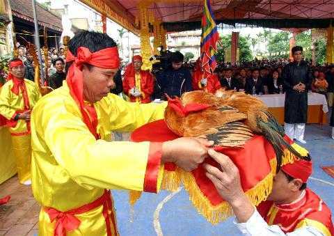 Lạ lùng chuyện cắt máu ăn thề ở Hải Phòng