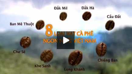 Cục Sở hữu trí tuệ vạch quảng cáo 'láo' của Vinacafe