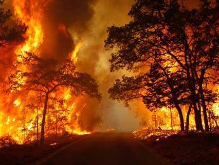 Sa Pa lại xuất hiện gió Ô Quý Hồ nguy hiểm