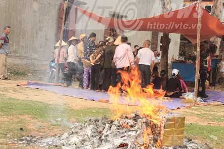 Giải mã tâm lý thần thánh hóa khi gặp 'cây lạ, con lạ'