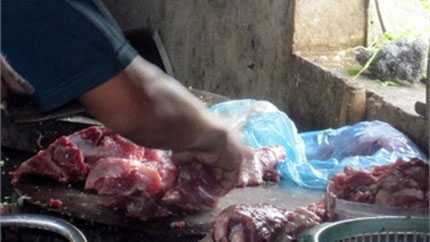 Bực mình ăn phải phở bò giả giá cao