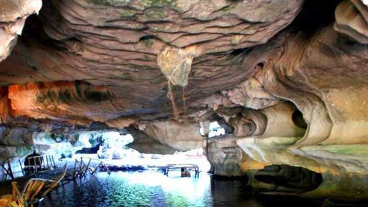 Vẻ đẹp kỳ thú 'chốn bồng lai' động Moso