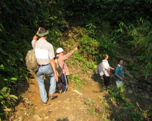 Những chuyện đau đớn ít biết của giới săn trầm