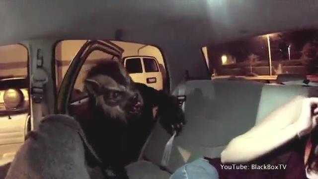 Clip: Tài xế taxi hoá người sói, tấn công 2 thiếu nữ