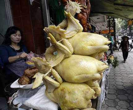 Dịch cúm A/H7N9: Vẫn ăn được gà
