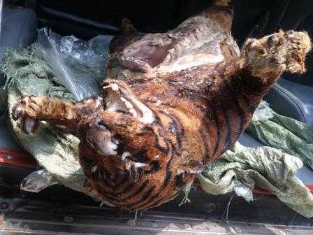 Bắt giữ vụ vận chuyển 'ông Ba Mươi' về thủ đô