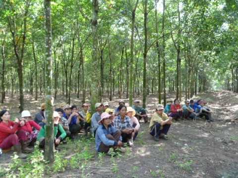 Mịt mù tương lai chờ...giám đốc