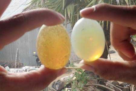 Giải mã giếng Thánh và những viên ngọc Phật Trùm