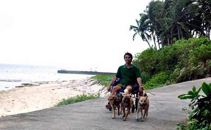 Diệu kỳ, chó kéo xe lăn ở đảo Lý Sơn