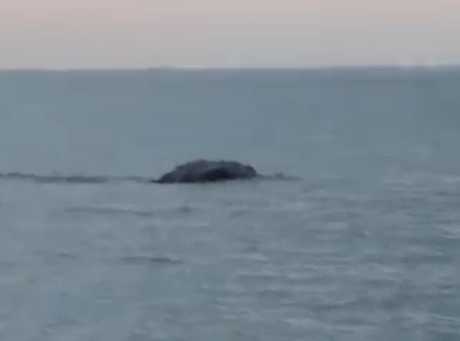 Thuỷ quái xuất hiện trên hồ Lough Foyle?