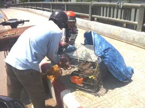 Không sợ 'tử thần', phố Sài Gòn vẫn tràn ngập 'ổ bệnh'