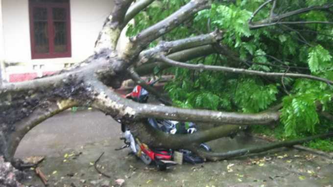 Video: Mưa to kèm giông lốc 'tấn công' Thanh Hoá