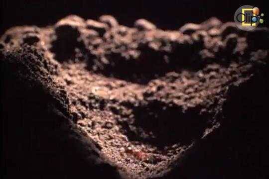 Clip: Bẫy tử thần trong đầm cát