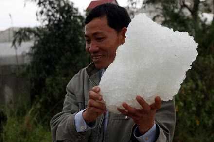 Video: Mưa đá to chưa từng thấy tàn phá Đà Lạt