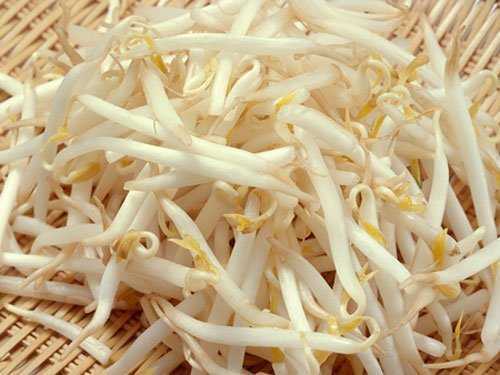 Thời sự 8/5: Cận cảnh giá đỗ tẩm hoá chất Trung Quốc