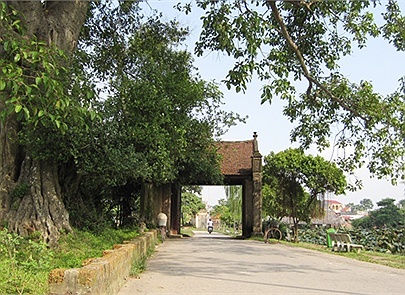 'Lẽ ra ngay từ đầu, phải lập một làng Đường Lâm mới'