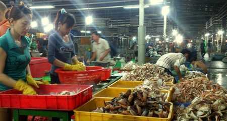 Sài Gòn: Quán ốc vỉa hè 'hốt bạc' thời khủng hoảng