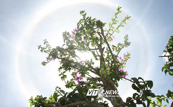 Chuyên gia lý giải quầng sáng lạ lùng ở Đà Lạt