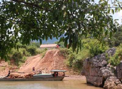 Trúng trầm trăm tỷ: 'Ùn ùn' vào rừng tìm trầm