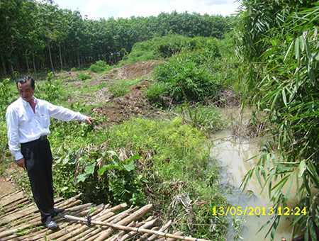 Kỳ án vườn mít, nhiều điều chưa tỏ