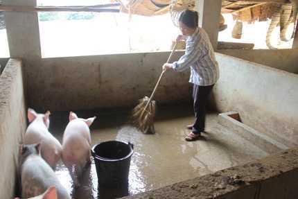 Kỳ lạ 'xã không chồng' ở Thái Nguyên