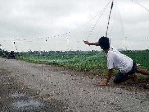 ‘Sứ giả mùa xuân’ lên… bàn nhậu