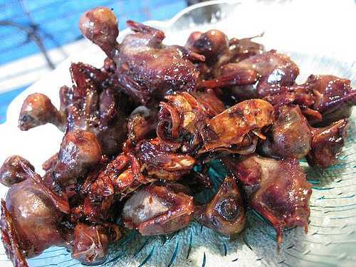 Thời sự 26/5: Hãi hùng chế biến chim sẻ từ vịt chết