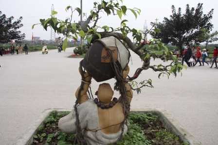 Vỡ trận 'siêu cây triệu đô', đại gia đi nuôi vịt