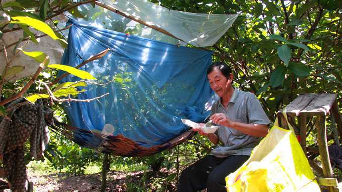 Con chiếm nhà, cha ra ở chuồng heo