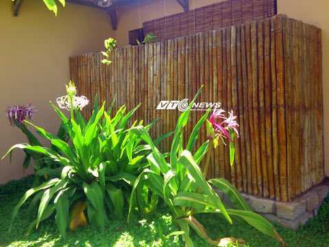 Vụ mất trộm ở resort 4 sao, resort thanh minh gì?