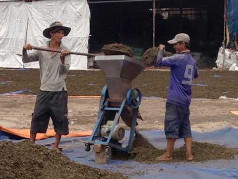 Trà dùng ướp xác được bán để uống