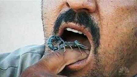 Thời sự 4/6: Người đàn ông nghiện ăn bọ cạp sống