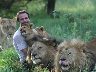 Gặp người đàn ông ăn, ngủ cùng bầy sư tử