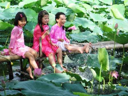 'Chặt chém' ở đầm sen Hồ Tây