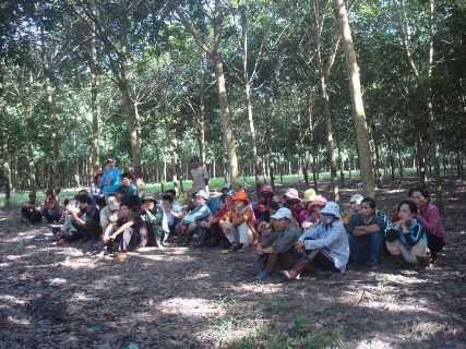 'Đại gia' đồn điền bị bắt: Chưa có kết luận rõ ràng