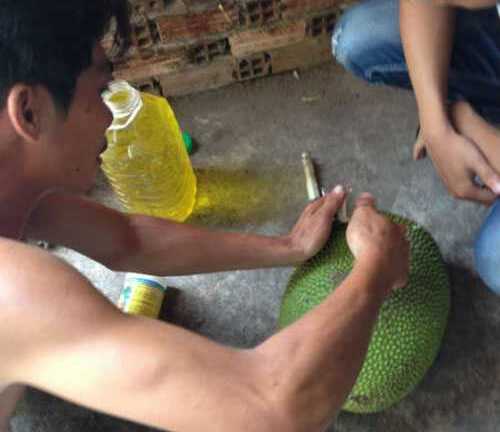 Mít múi vàng, chín hảo hạng: Xem chế biến, cạch đến già