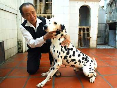 Bi hài đại gia bán chó, người nghèo cầm cố... răng