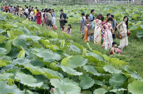 Những dịch vụ kiếm bạc triệu/ngày dễ dàng